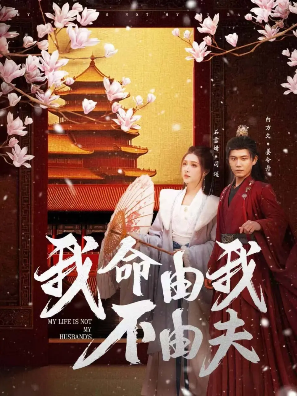 女性命运逆袭传奇：解析《我命由我不由夫》的独立精神